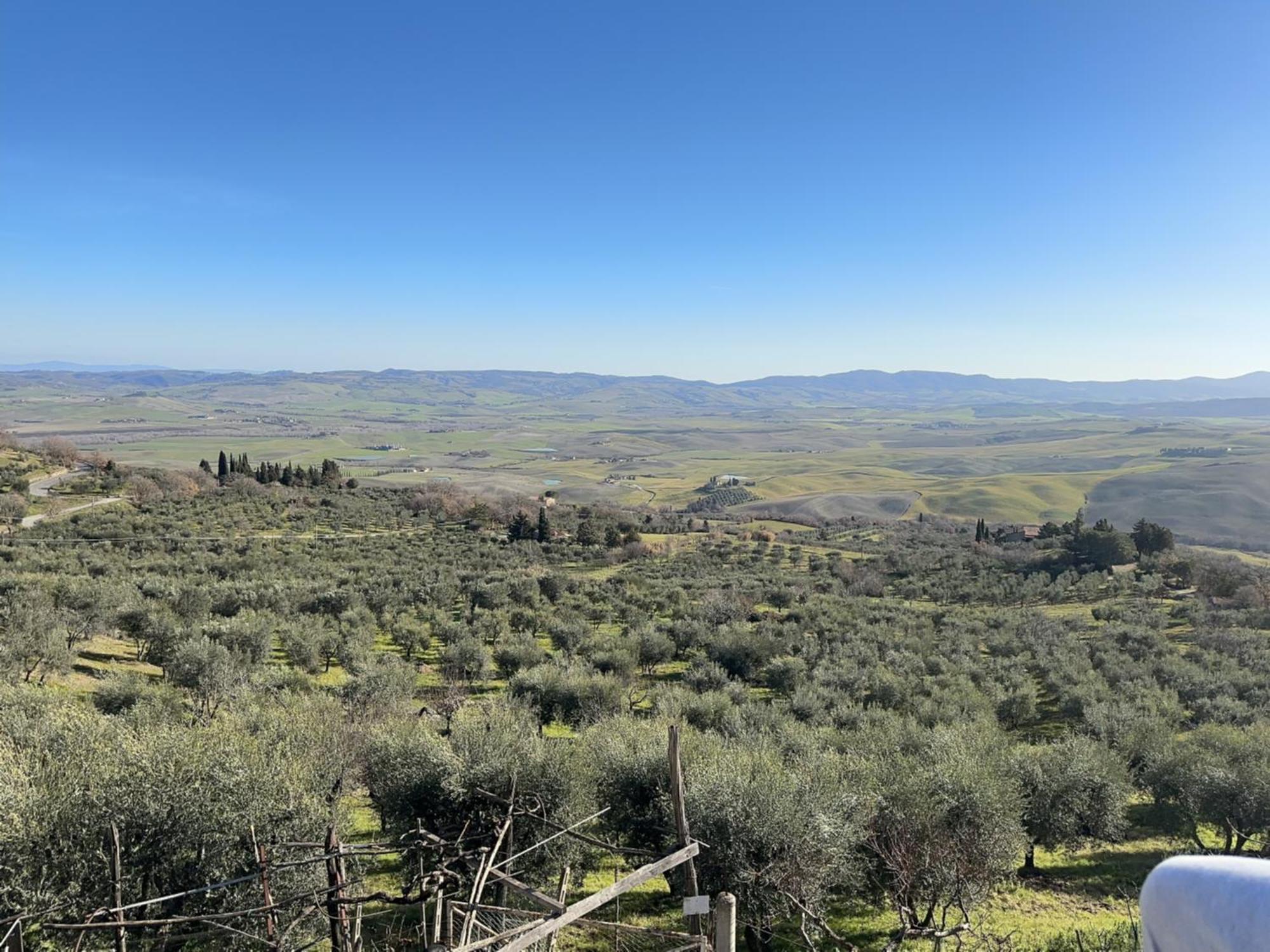 Lucky Garden Bed and Breakfast Bevagna Exterior foto